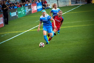 爱游戏体育app-中国篮球职业联赛俱乐部财务风险管理，篮球俱乐部财务制度