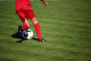 爱游戏app活动-意甲裁判语义辅助判罚系统提升比赛公平性研究，意甲裁判组