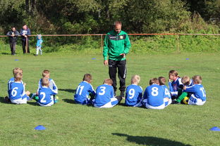 爱游戏体育入口-五大联赛核心球员缺阵时教练战术应变差异分析，五大联赛主教练工资排名