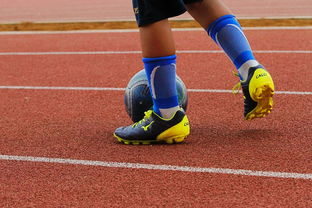 爱游戏app-2024青少年体育产业融合发展大会隆重召开，青少年体育运动协会